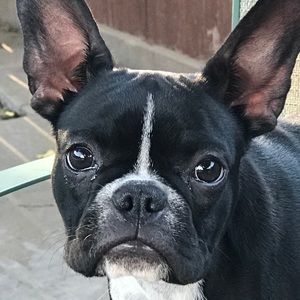 Meet your Posher, Eric